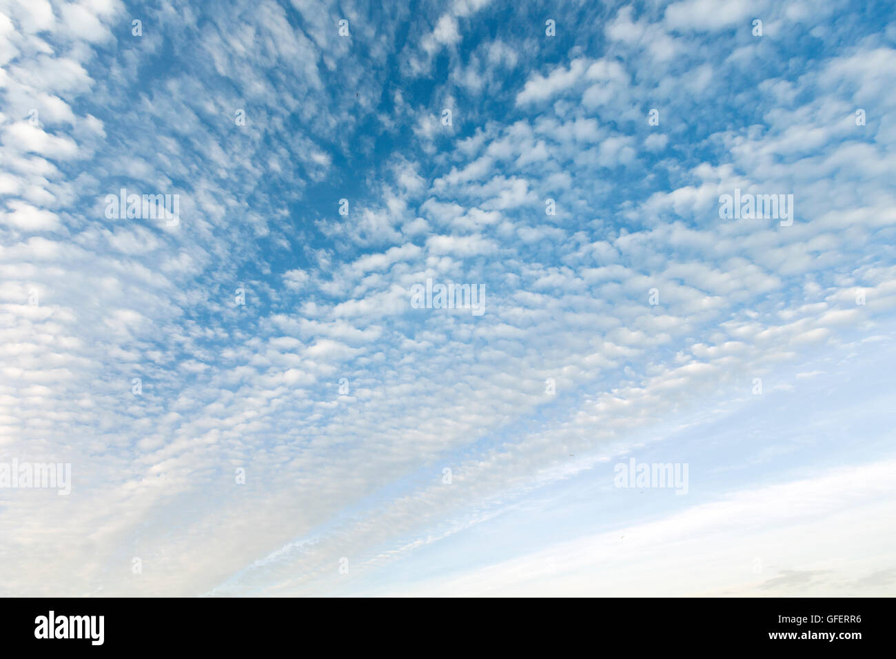 Blauer Himmel mit Cumulus-Wolken-Hintergrund. Stockfoto