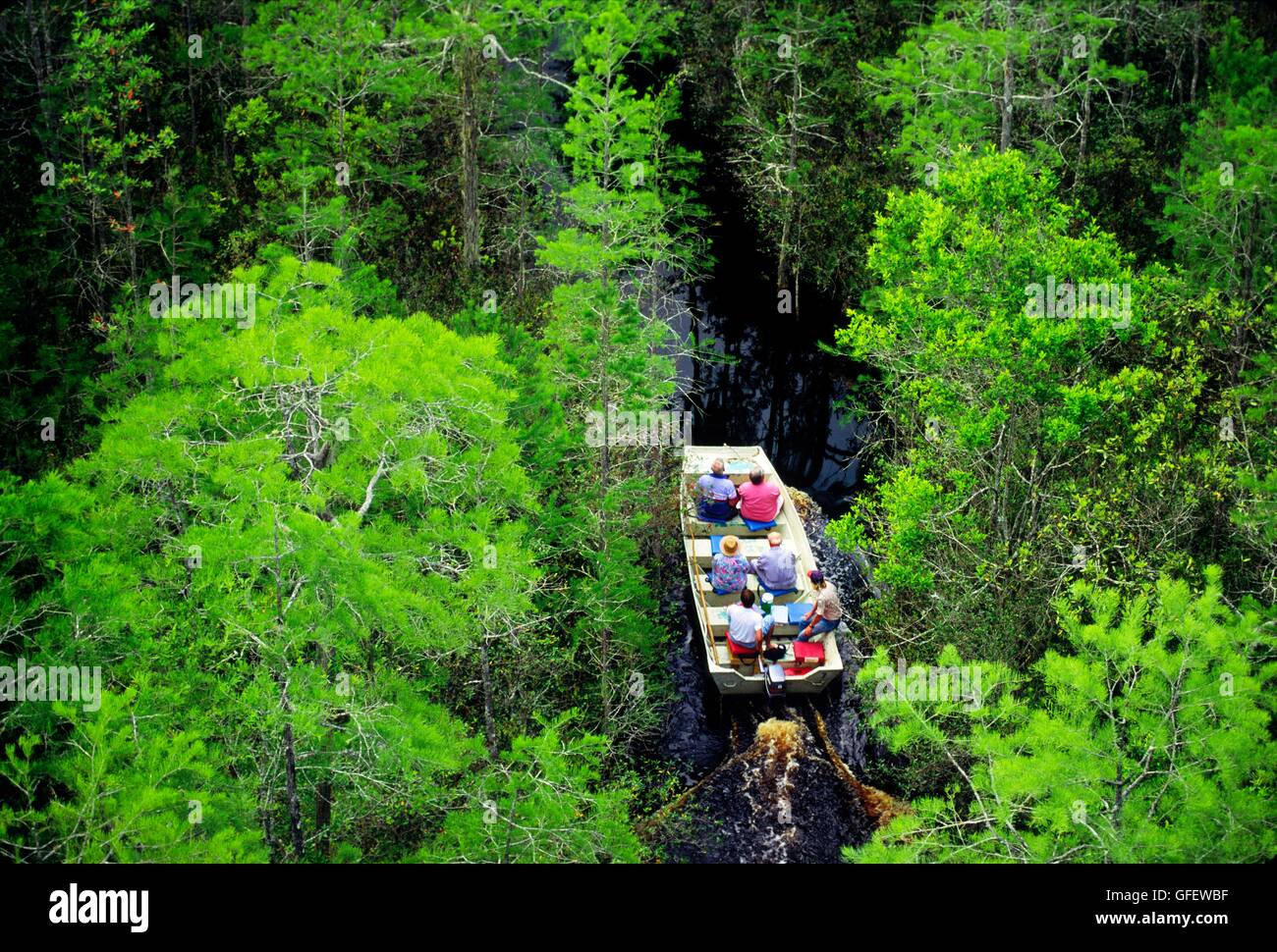 Tour Bootsfahrt in Okefenokee National Wildlife Refuge im Bundesstaat Georgia, USA. Ein Wald wächst aus der schwarzen wasser Sumpf Stockfoto