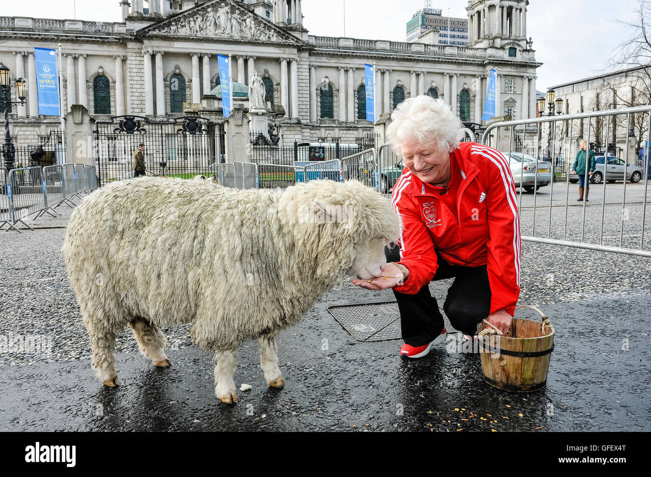 28. April 2013, Belfast, Nordirland. Dame Mary Peters, begleitet von Herrn Bürgermeister Gavin Robinson, Herdd Schafe durch Belfast nach Freiheit der Stadt gewährt wird. Stockfoto