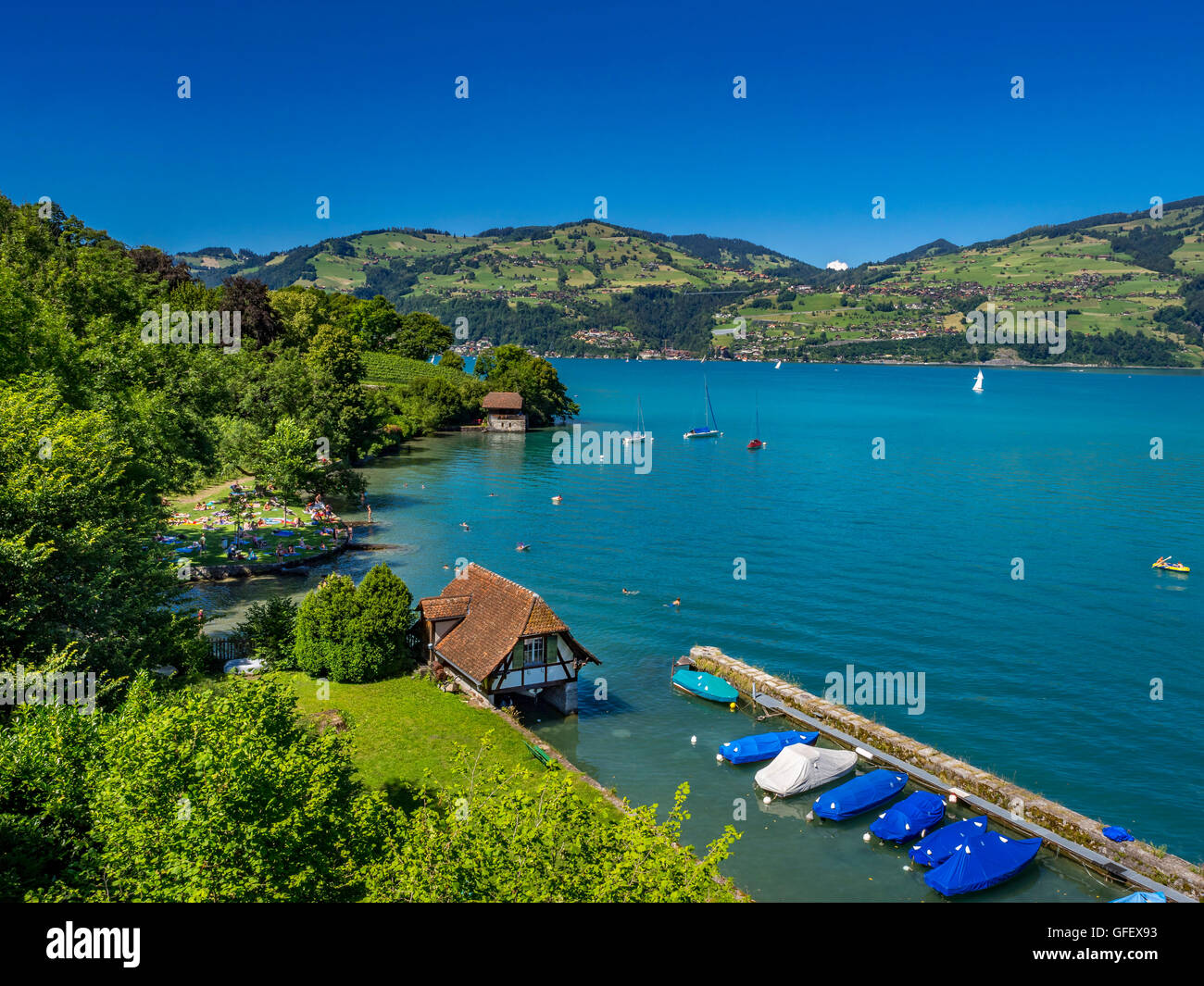 Landschaft auf dem Thunersee, Berner Oberland, Bern, Schweiz, Europa Stockfoto