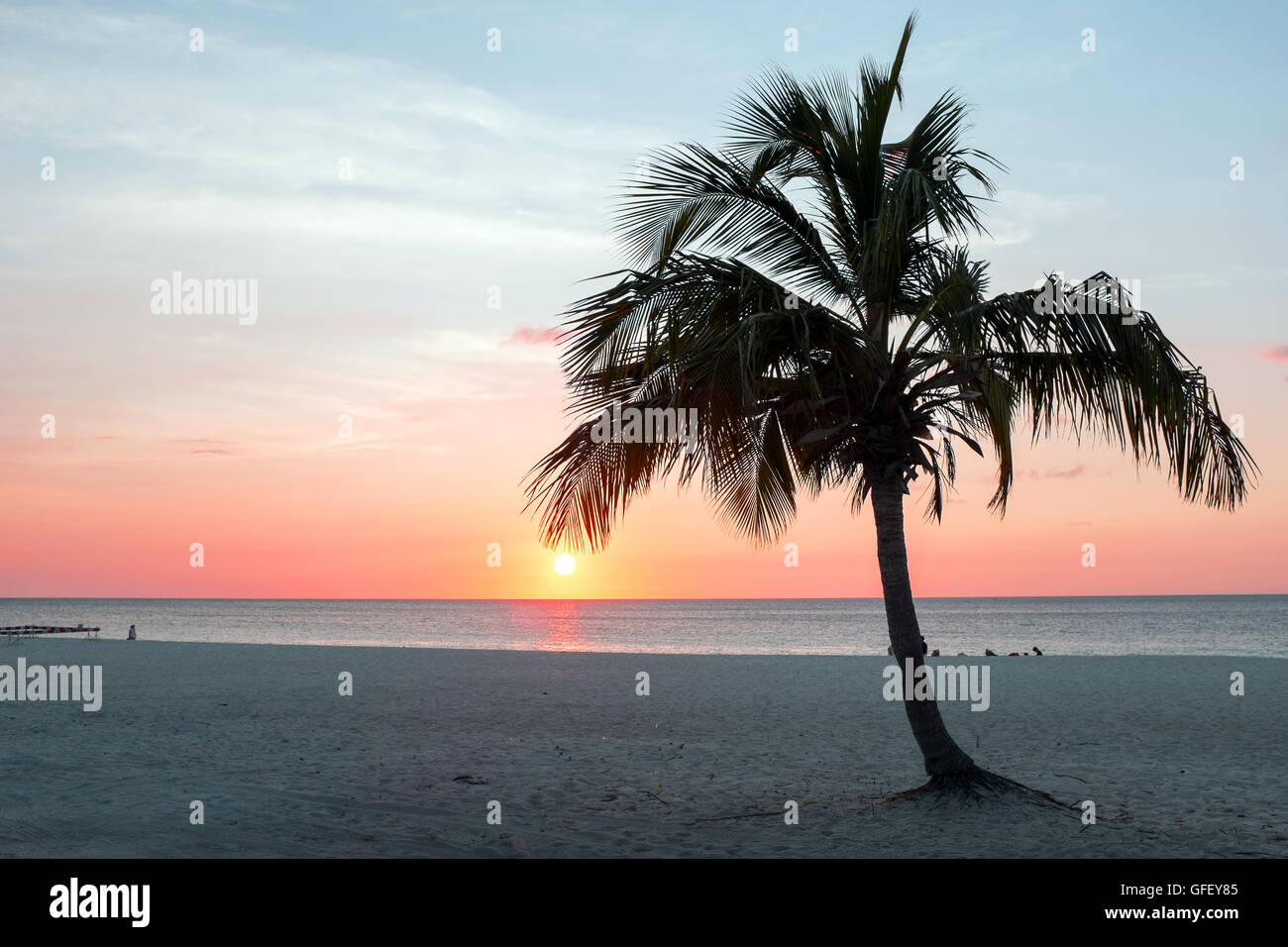 Sonnenuntergang auf der Insel Aruba am Eagle Beach in der Karibik Stockfoto