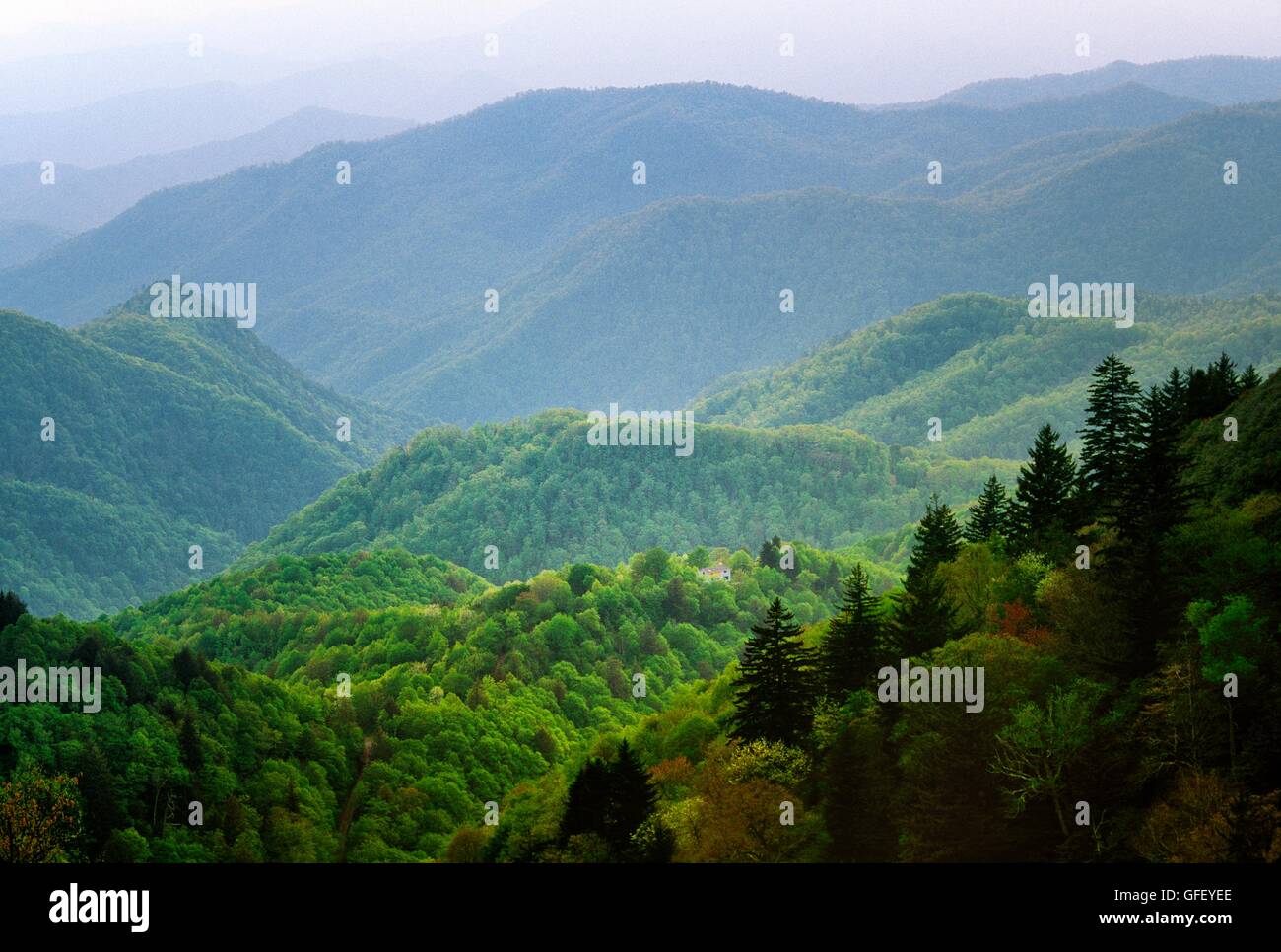Great Smoky Mountains, Appalachen Range, USA. Von Woolyback Aussichtspunkt zu abgelegenen Haus am Südende des Blue Ridge Parkway Stockfoto
