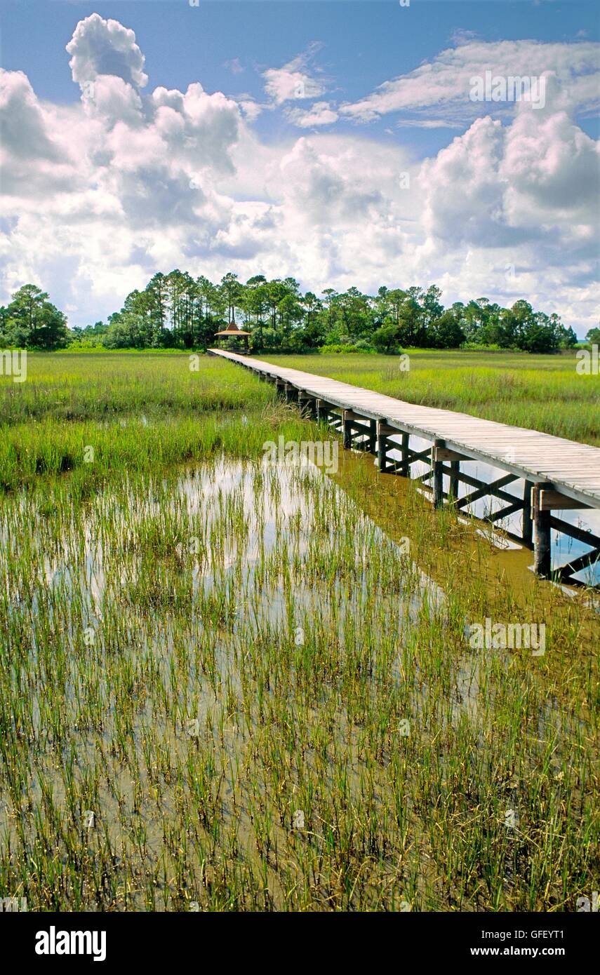 Eine Holz-Promenade führt die Besucher in die Sumpf-Ufer der Jagd-Insel an der Küste von South Carolina in der Nähe von Beaufort. USA Stockfoto