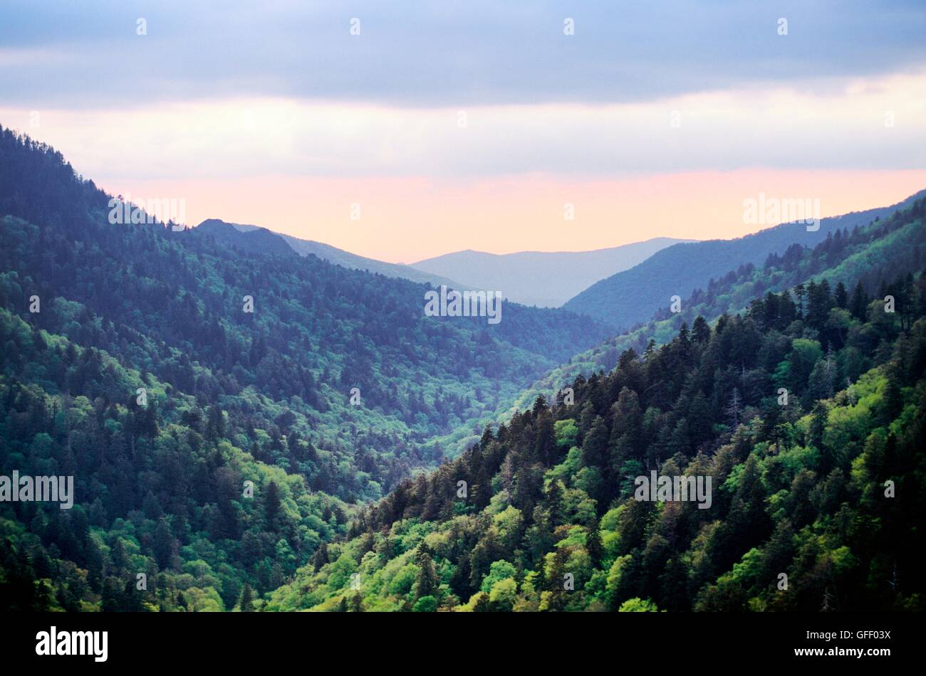 Wälder bedecken die Great Smoky Mountains National Park von Morton übersehen, Tennessee, USA gesehen. Ein Teil der Appalachian Bereich Stockfoto