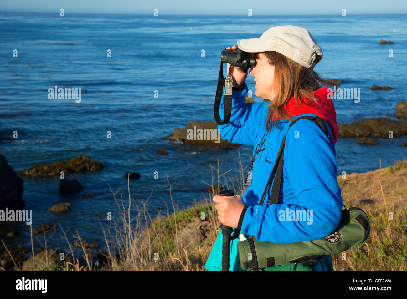 Vogelbeobachtung auf küstennahen Klippen, Estero Bluffs State Park, Kalifornien Stockfoto