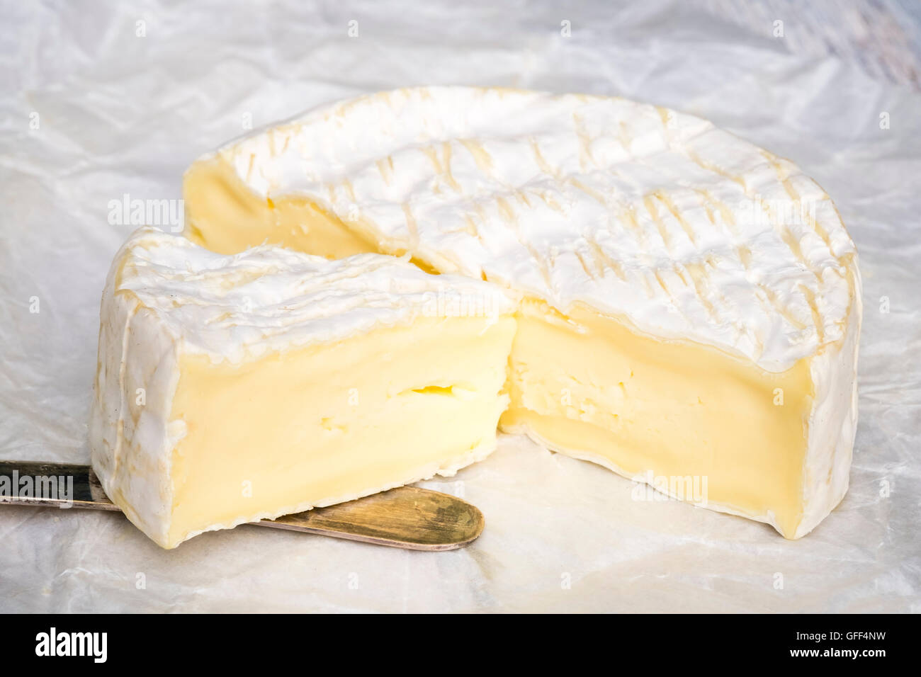 Camembert Käse. Stockfoto