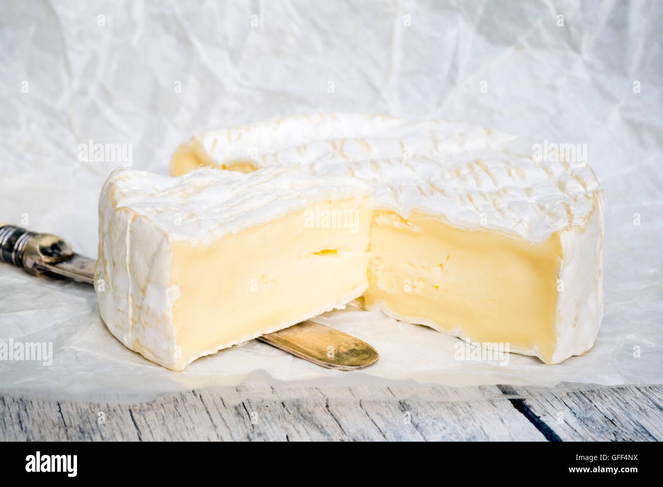 Camembert Käse. Stockfoto