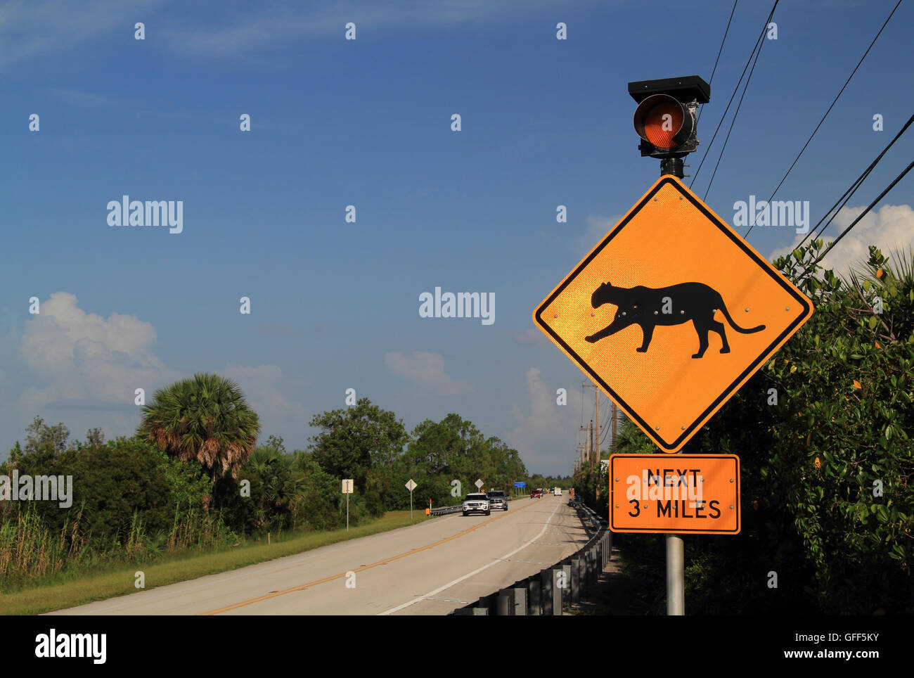 Der Tamiami Trail als es kreuzt die große Big Cypress Swamp in den Florida Everglades Stockfoto