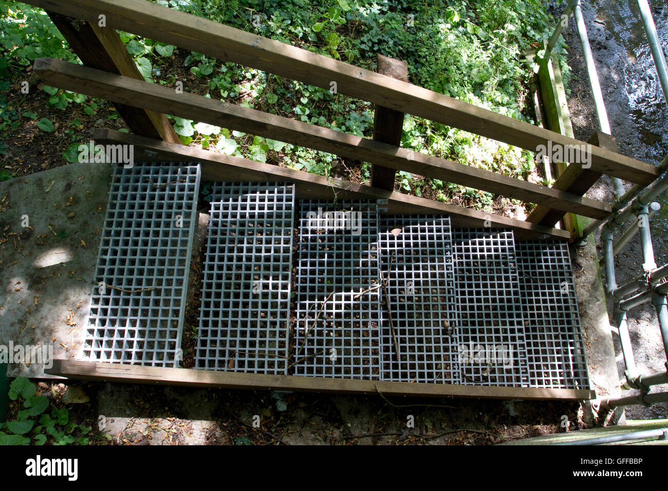 Metallgitter Schritte und hölzerne Geländer, Zugang zu Fluss Überwachung durch die Environment Agency Stockfoto