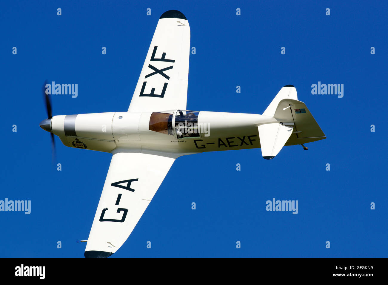 Percival Mew Gull, G-AEXF, Stockfoto