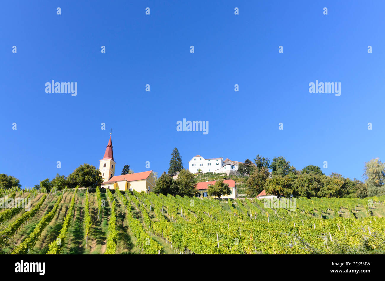 Kapfenstein: Kapfenstein Burg, Kirche, Weinberg, Weinberge, Österreich, Steiermark, Steiermark, Steirisches Thermenland - Oststeierma Stockfoto