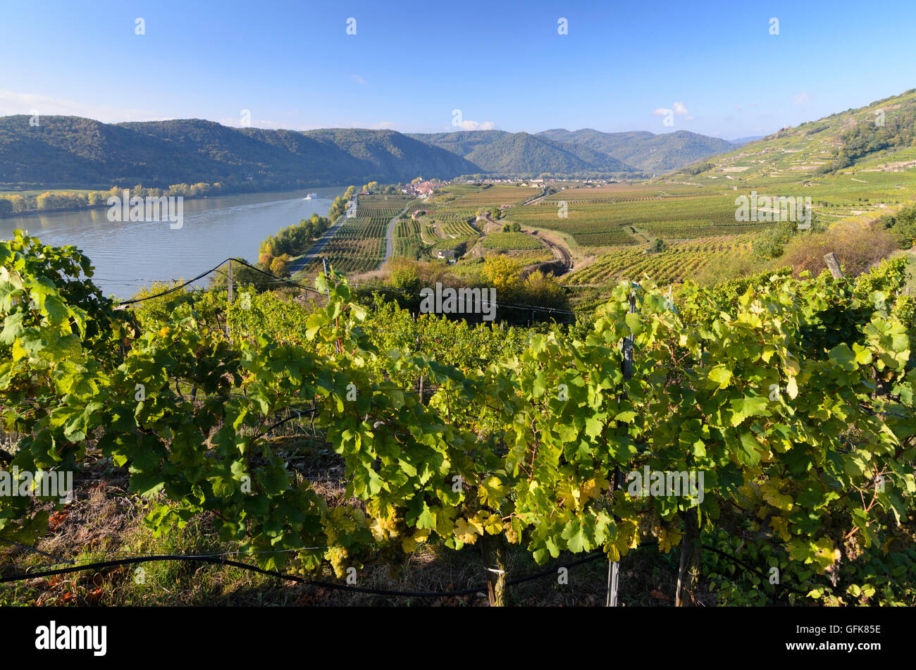 Dürnstein: Blick vom Weinberg Ried Pfaffenberg in Unterloiben und der Donau, Österreich, Niederösterreich, Niederösterreich, Wach Stockfoto
