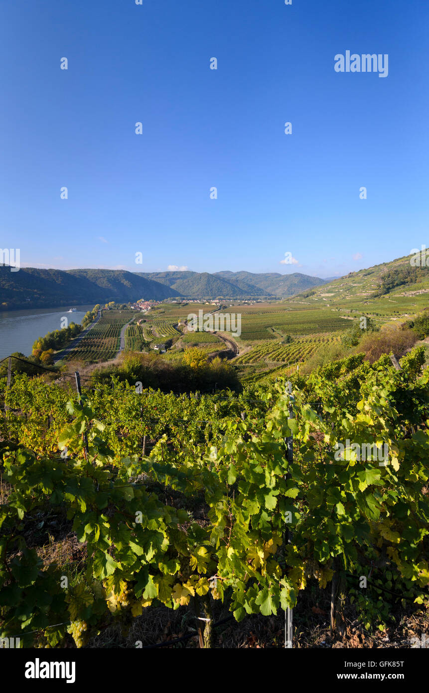 Dürnstein: Blick vom Weinberg Ried Pfaffenberg in Unterloiben und der Donau, Österreich, Niederösterreich, Niederösterreich, Wach Stockfoto
