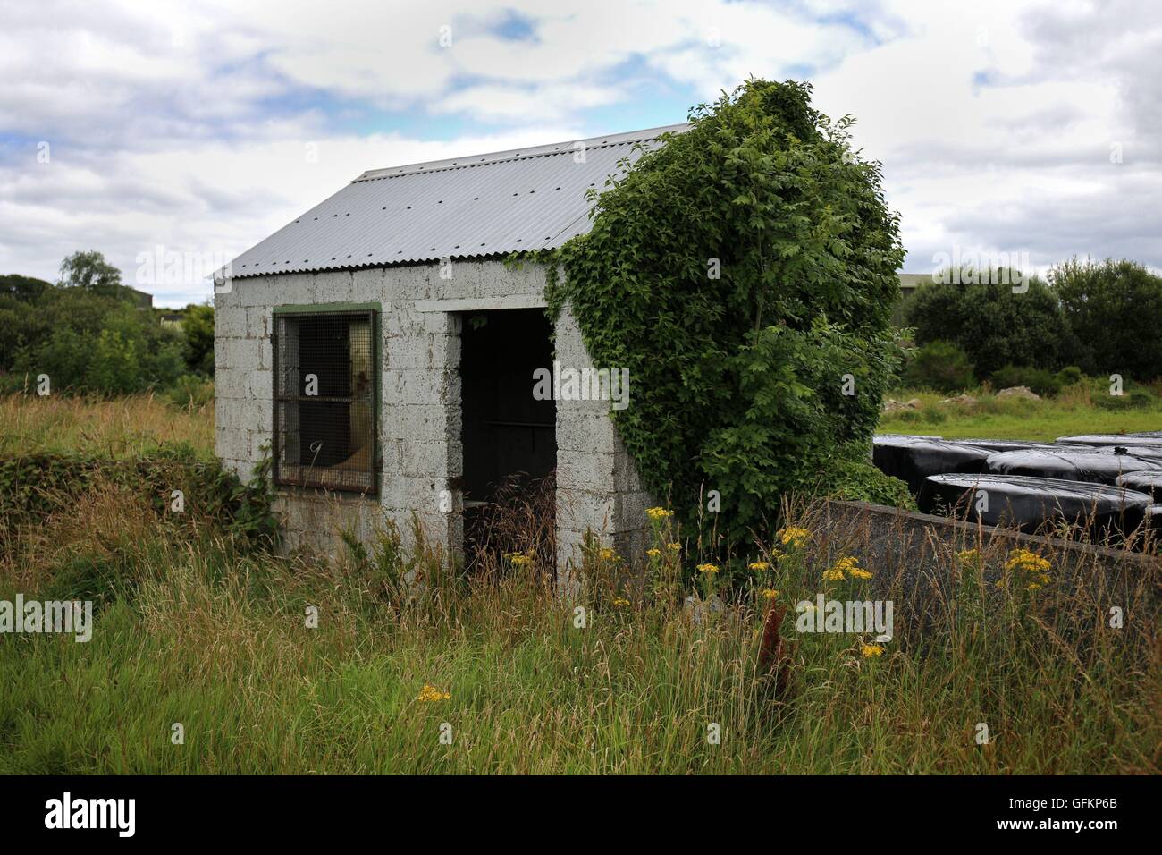 Embargo auf 0001 Montag, 1. August, eine verlassene Grenze Wache Hütte auf der nördlichen Seite der Grenze zwischen Nordirland und der Republik Irland. Stockfoto