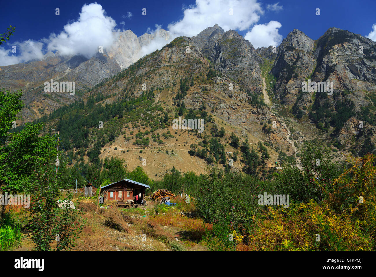 Ein Dorf im Sangla Tal (Himachal Pradesh, Indien) Stockfoto
