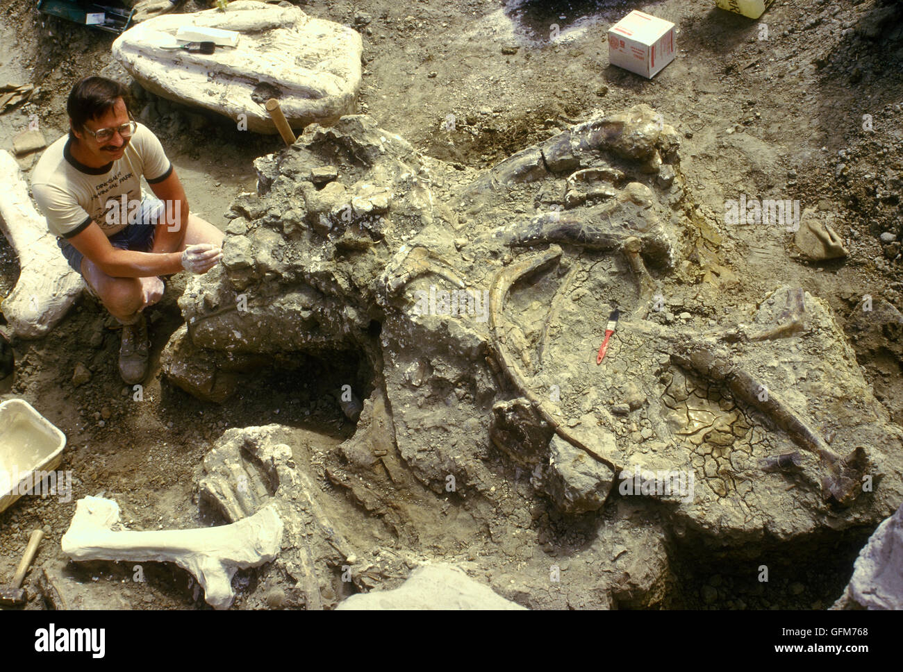 Ein Paläontologe ausgräbt ein Dinosaurier-Skelett in Drumheller Badlands von Alberta, Kanada. Stockfoto