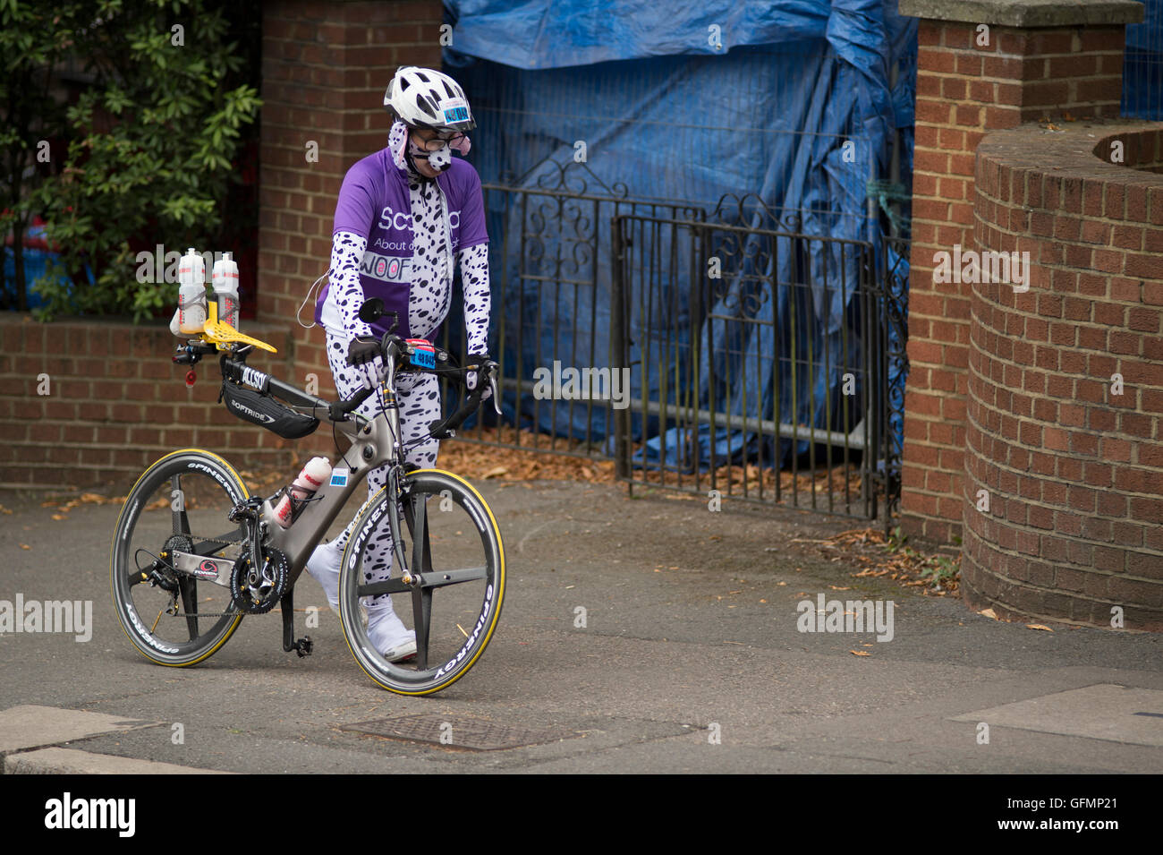 Wimbledon Hill, London, Großbritannien. 31. Juli 2016. Das aufsichtsrechtliche RideLondon-Surrey 100 Rennen auf geschlossenen Straßen erreicht der letzten Steigung des Tages bei Wimbledon Hill 10 Meilen vor dem Ziel auf der Mall. Radfahrer gekleidet wie ein Hund Wimbledon bergauf geht. Bildnachweis: Sportsimages/Alamy Live-Nachrichten. Stockfoto