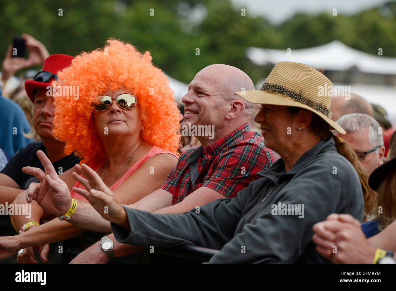 Carfest Nord, Bolesworth, Cheshire, UK. 31. Juli 2016. Menschen genießen Sie die Musik auf der Hauptbühne. Die Veranstaltung ist die Idee von Chris Evans und Funktionen 3 Tage von Autos, Musik und Unterhaltung mit einem Gewinn an die Stiftung Kinder in Not gespendet. Andrew Paterson/Alamy Live-Nachrichten Stockfoto