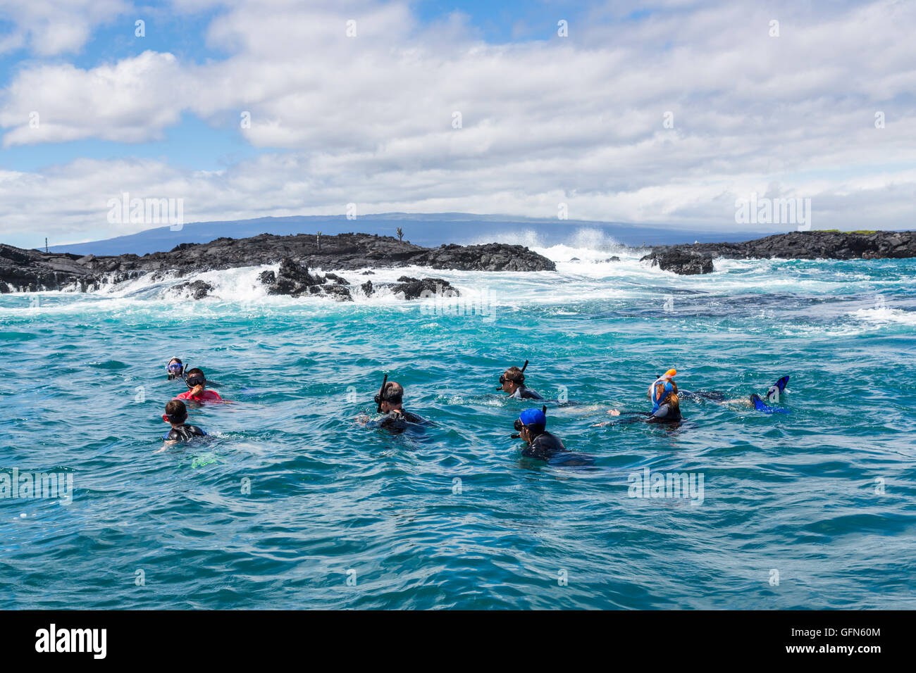 Urlauber, die schwimmen und Schnorcheln in der Nähe von der Küste bei Moreno Punkt, Isabela Island, Galapagos-Inseln, Ecuador, Südamerika Stockfoto