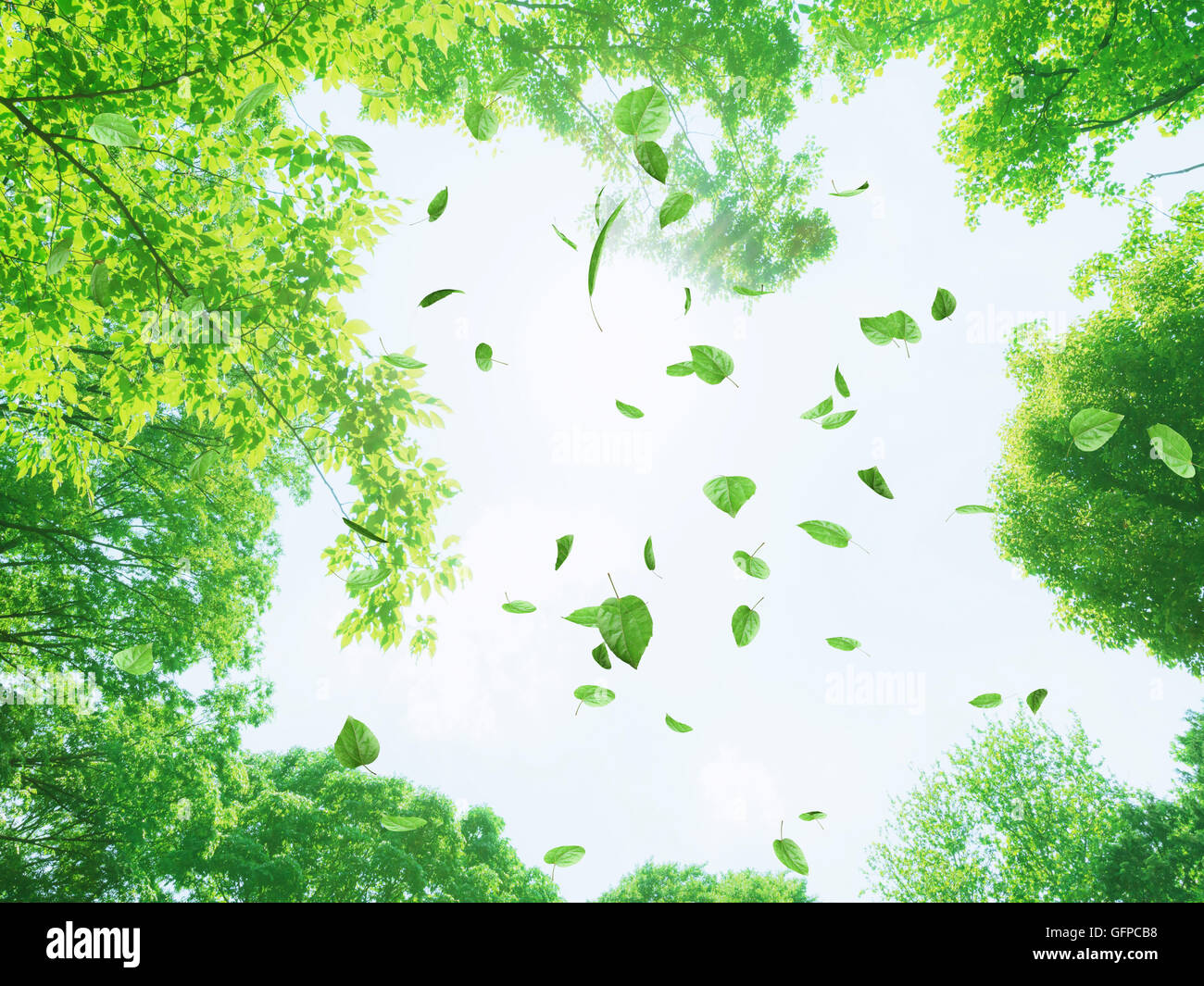 Ökologie-Bild Stockfoto