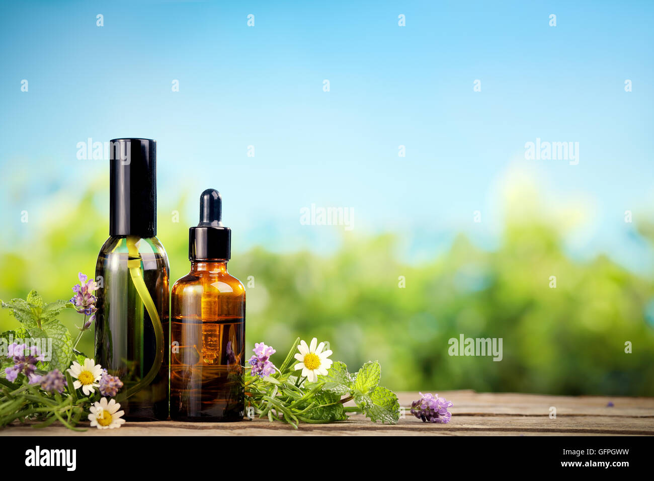Ätherisches Minzöl in kleinen braunen Flaschen und frischer Minze Stockfoto