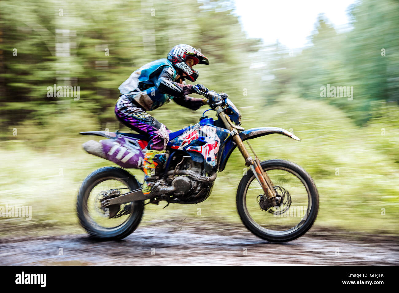 männlicher Athlet Motorradrennfahrer fährt in Wäldern während Ural Cup in Enduro Stockfoto