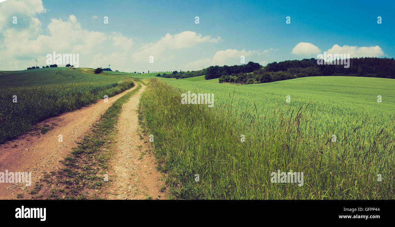 Feldweg zwischen Feldern, Instagram-Effekt Stockfoto