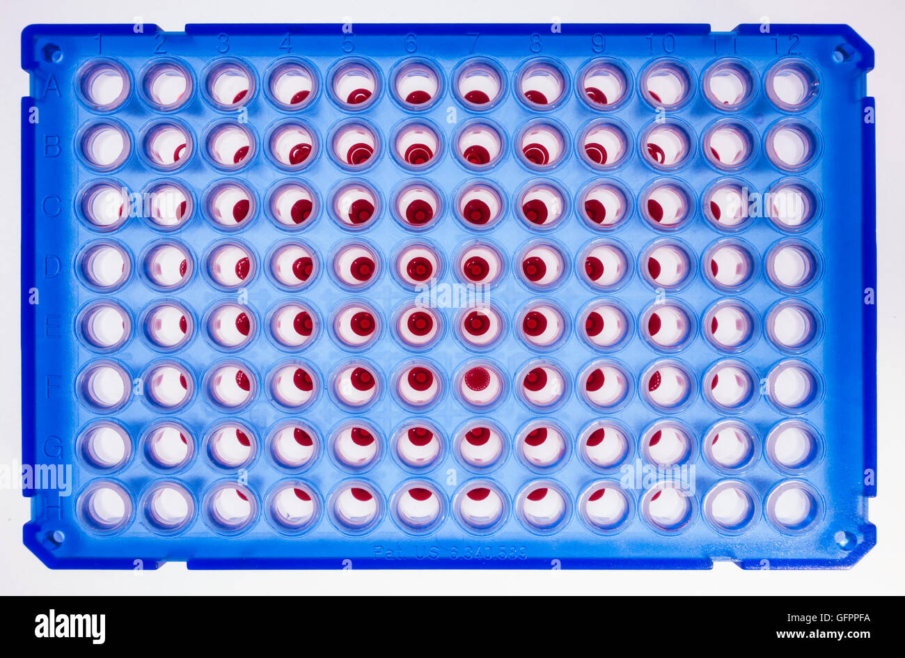 96 Platte gut für PCR Verarbeitung, mikrobiologischen Labor Stockfoto