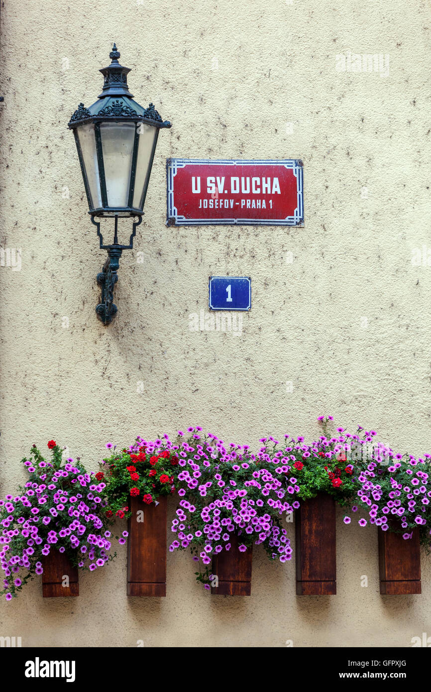 Prager Lampen und Blumen im Topf, Prager jüdisches Viertel, Altstadt, Josefov Prag Lantern Tschechische Republik Straßenschilder Stockfoto