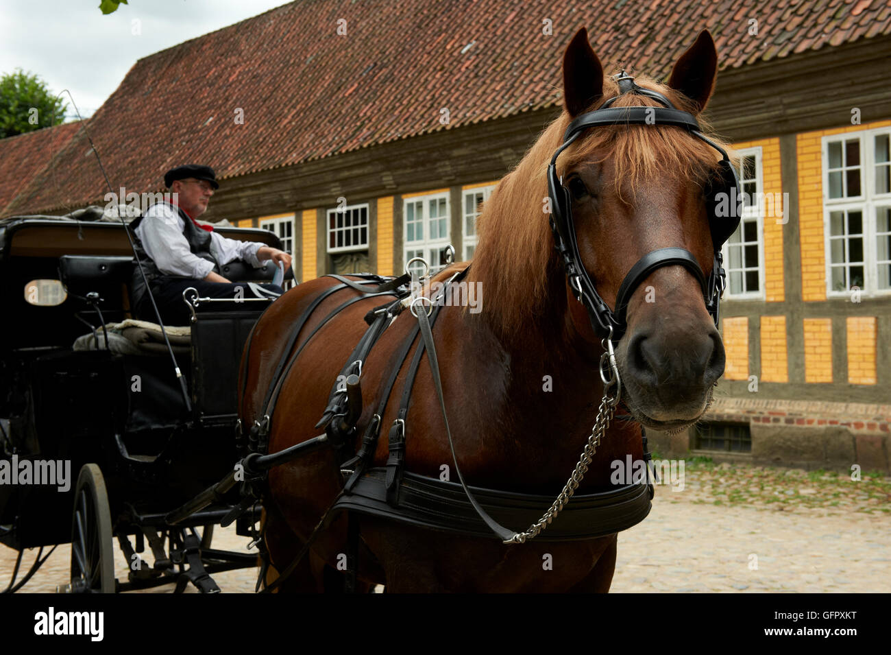 Pferdekutsche in The Old Town (Den Gamle By), Aarhus Stockfoto