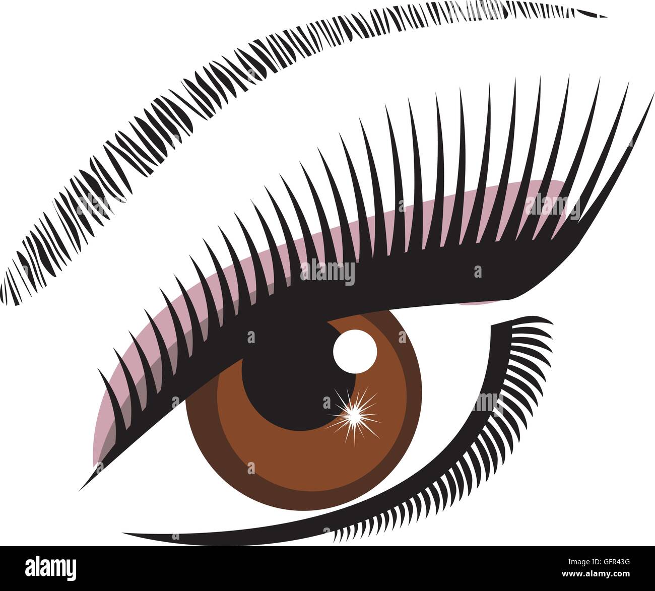 Vektor-Illustration eines Auges braun mit langen Wimpern Stock Vektor