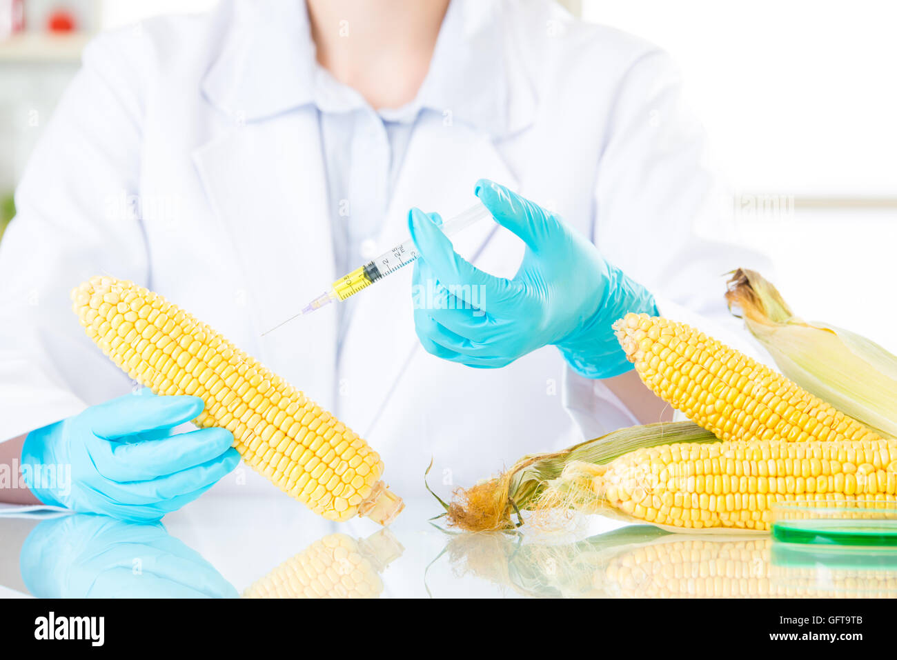 Biotechnologie-Labor, Gentechnik Lebensmittel für die Zukunft zu entwickeln Stockfoto