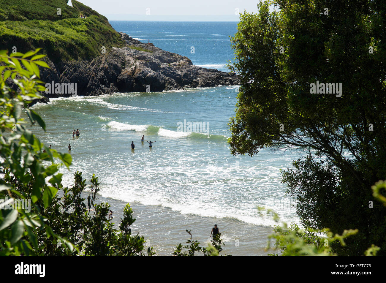 Badegäste in der Brandung in einer geschützten Bucht angesehen, durch den Wald von Küstenpfad, Caswell Bucht Gower Stockfoto