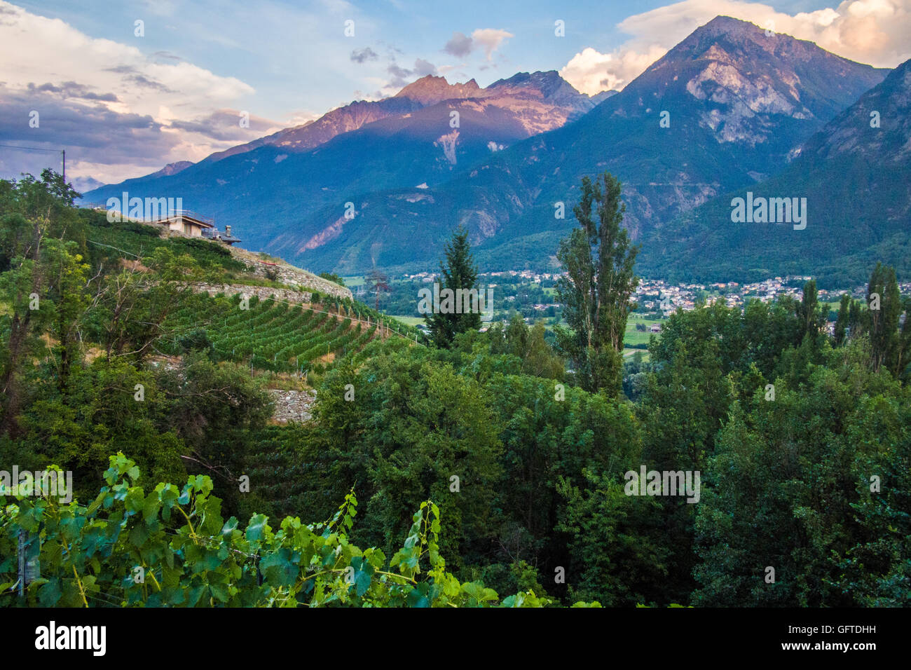 Les Granges Bio & biodynamische Weinberg (links) bei Nus & Fenis, mit Fenis hinter, Aostatal Region, in Italien. Stockfoto