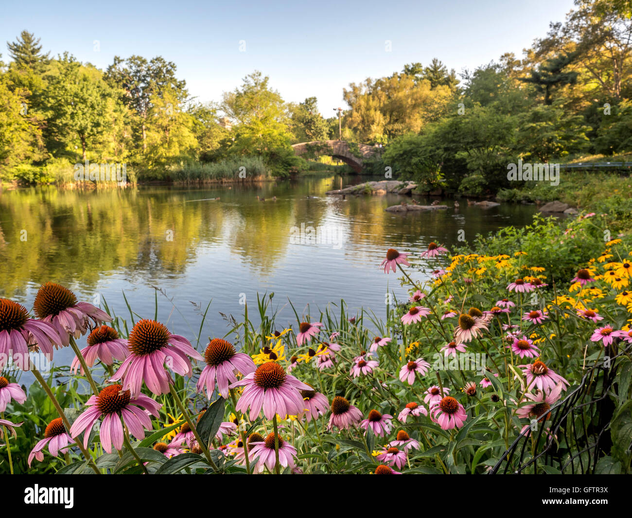 Gapstow Brücke im Central Park am Teich mit Blumen im Sommer in den