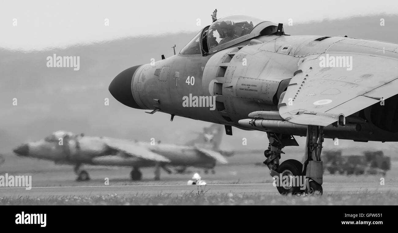 Royal Navy Sea Harrier Jump Jet teilgenommen RNAS Culdrose Luft Tag/Preview-Veranstaltung in 2016 (nur Boden Taxy Anzeige) Stockfoto