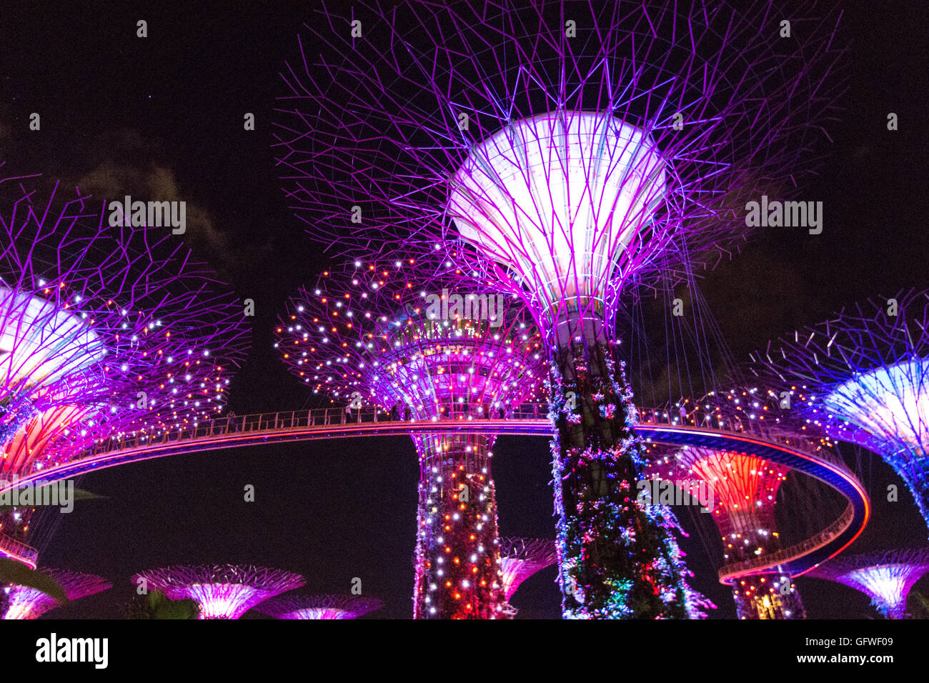 Singapur - Januar 15: Nachtansicht Supertree Grove Gardens an der Bucht am 15. Januar 2016 in Singapur. 101 Hecta überspannt Stockfoto