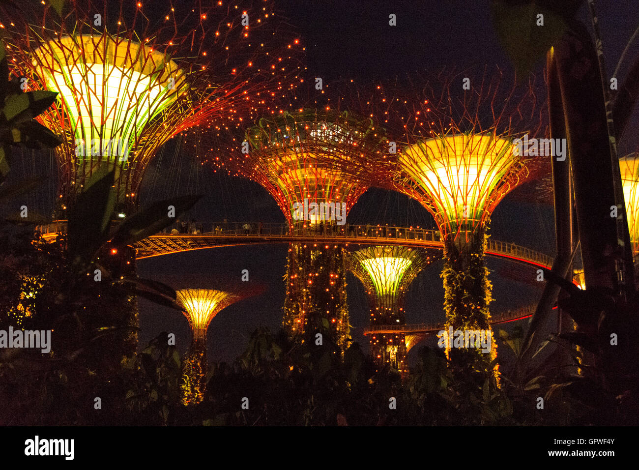 Singapur - Januar 15: Nachtansicht Supertree Grove Gardens an der Bucht am 15. Januar 2016 in Singapur. 101 Hecta überspannt Stockfoto