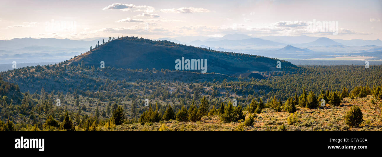 Shasta-Dreiheit National Forest Stockfoto