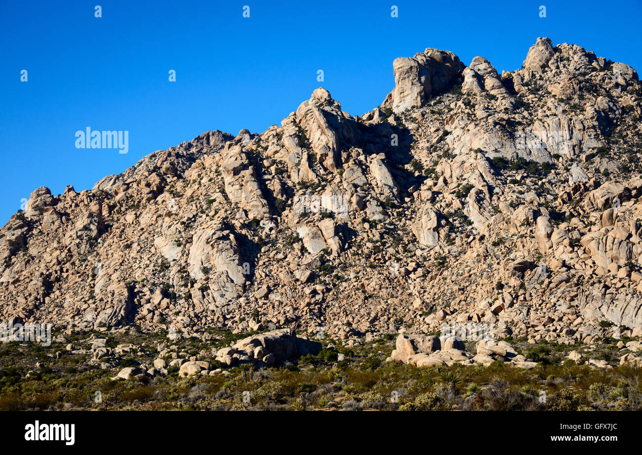 Mojave National Preserve Stockfoto