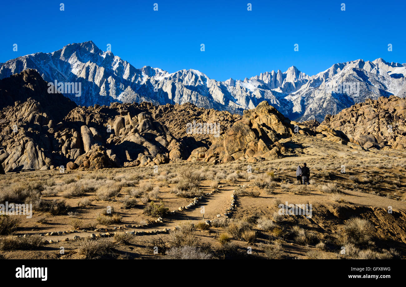 Sequoia Nationalpark Stockfoto