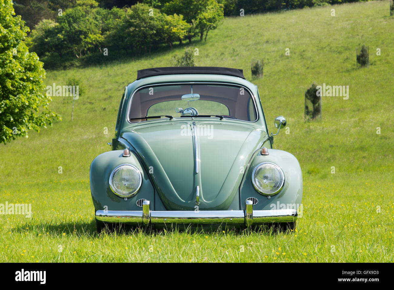 VW Käfer Auto bei einer VW-Show. Oxfordshire, England Stockfoto