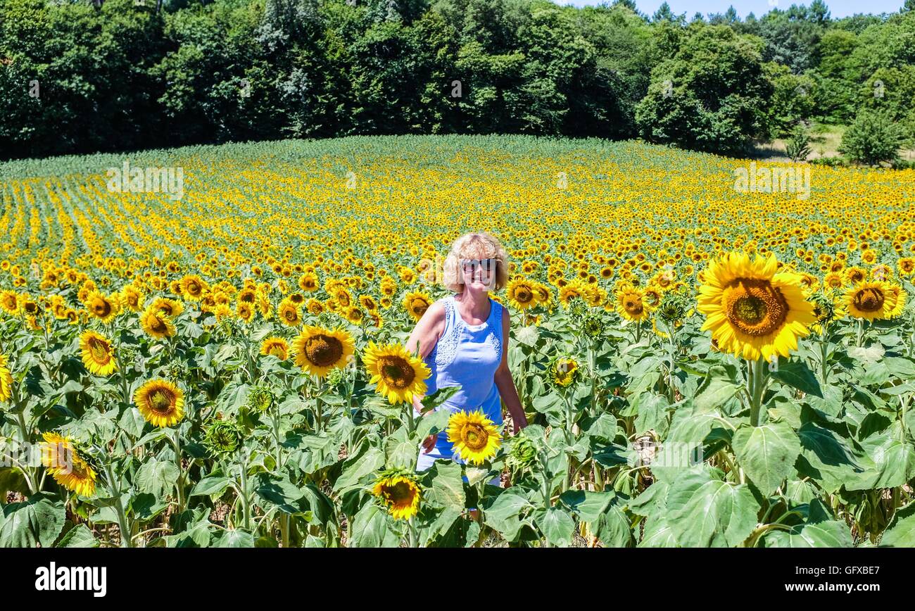 Frau geht in einem Feld von Sonnenblumen in Frayssinet le-Gelat in Le viel Region Abteilung Frankreich Stockfoto