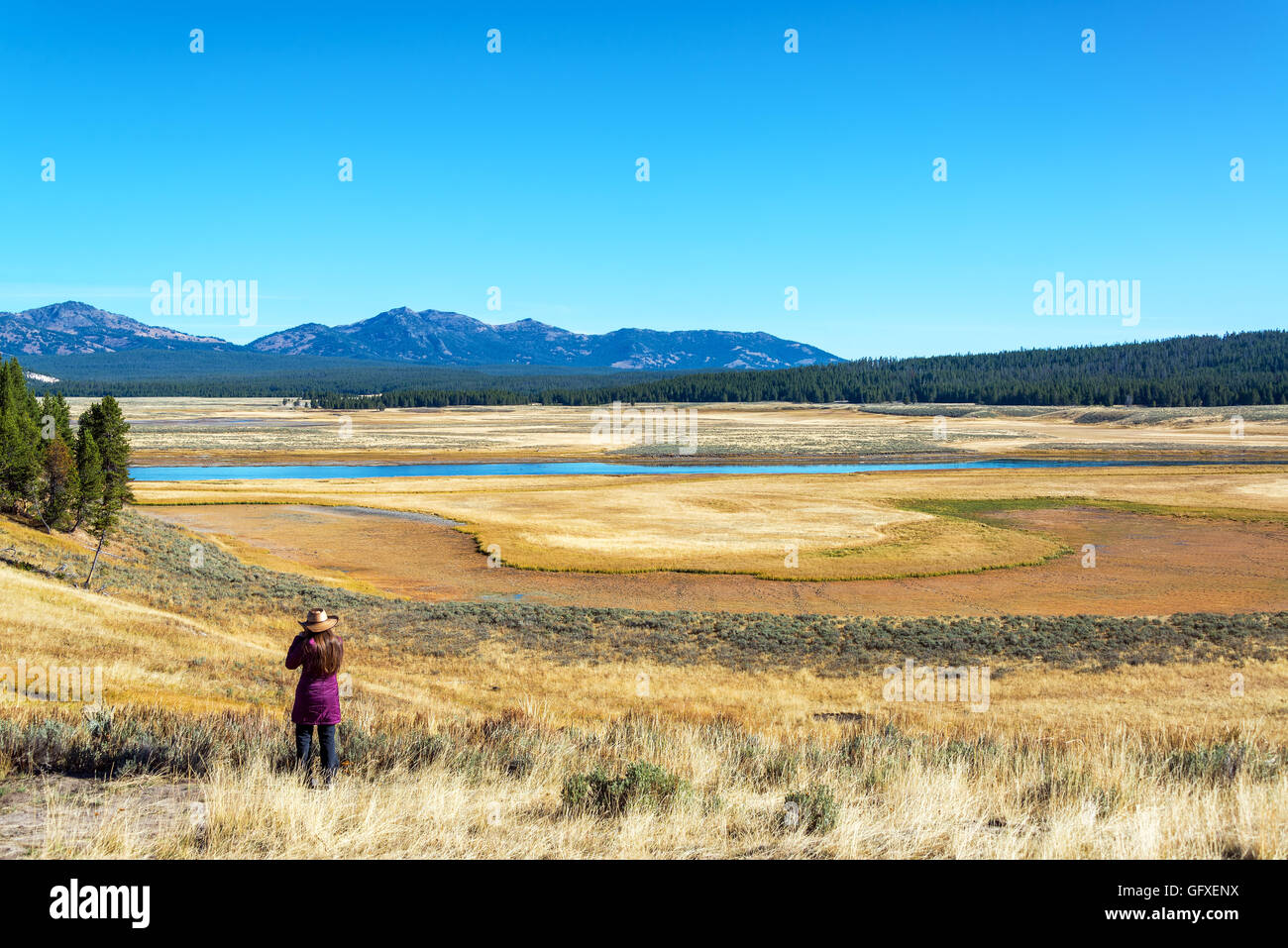 Junge Frau, Blick auf ein Tal im Yellowstone National Park Stockfoto