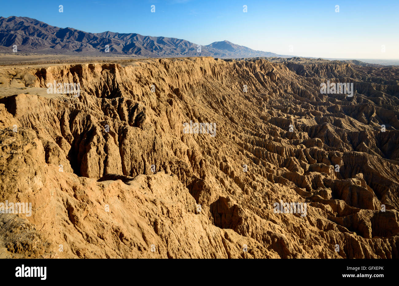 Anza-Borrego Desert State Park Stockfoto