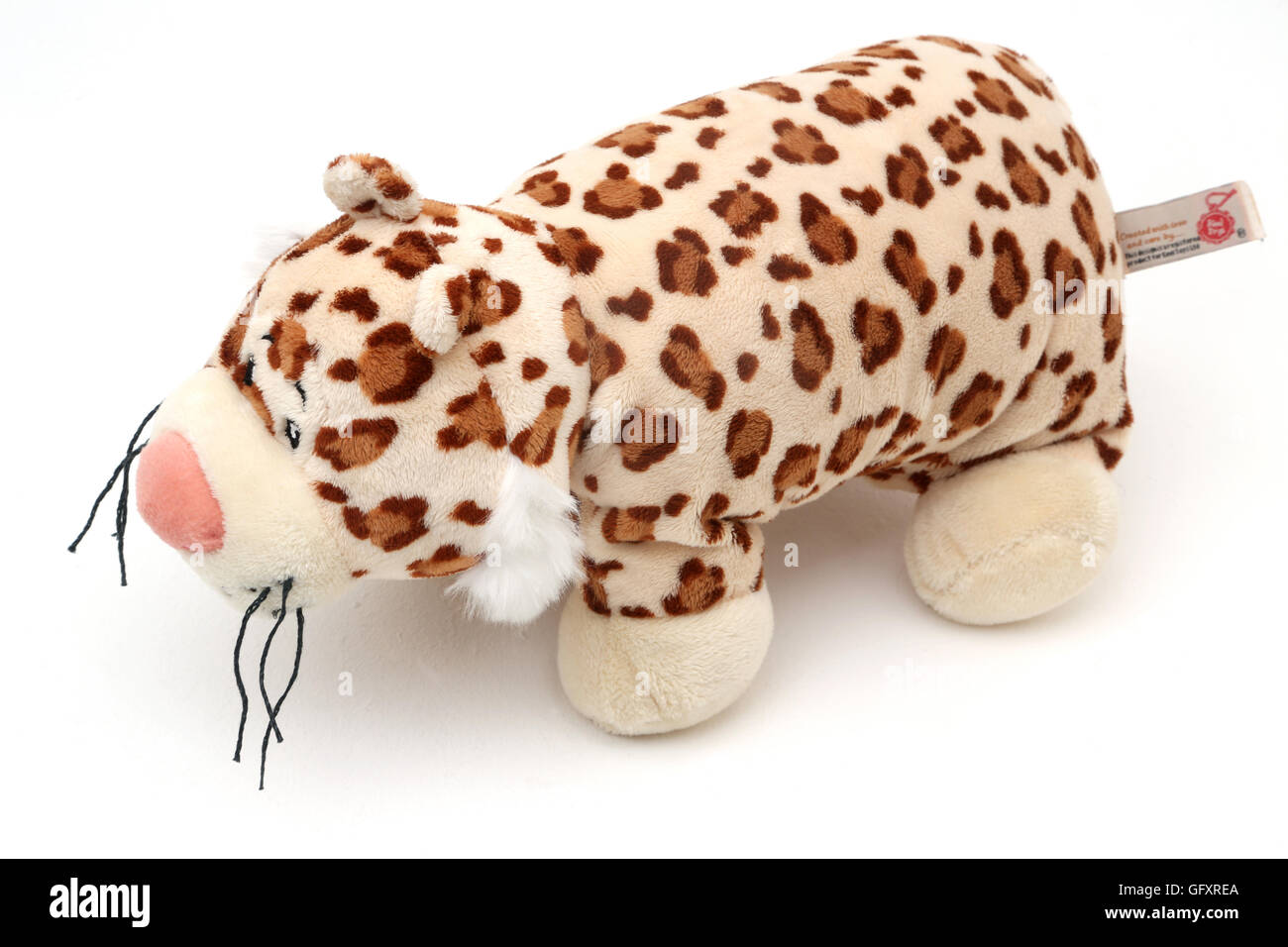 Kissen Haustier hochklappen Leopard Kissen/Kissen Stockfoto