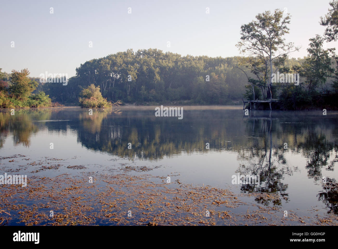 Lobau Stockfotos Und Bilder Kaufen Alamy