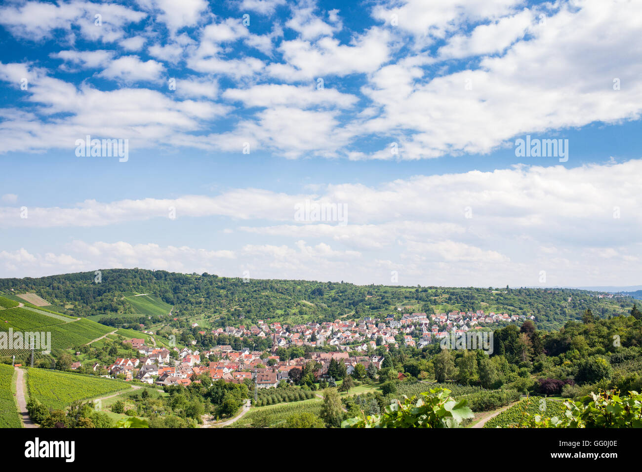 Schöne deutsche Wein Felder Landschaft Stockfoto