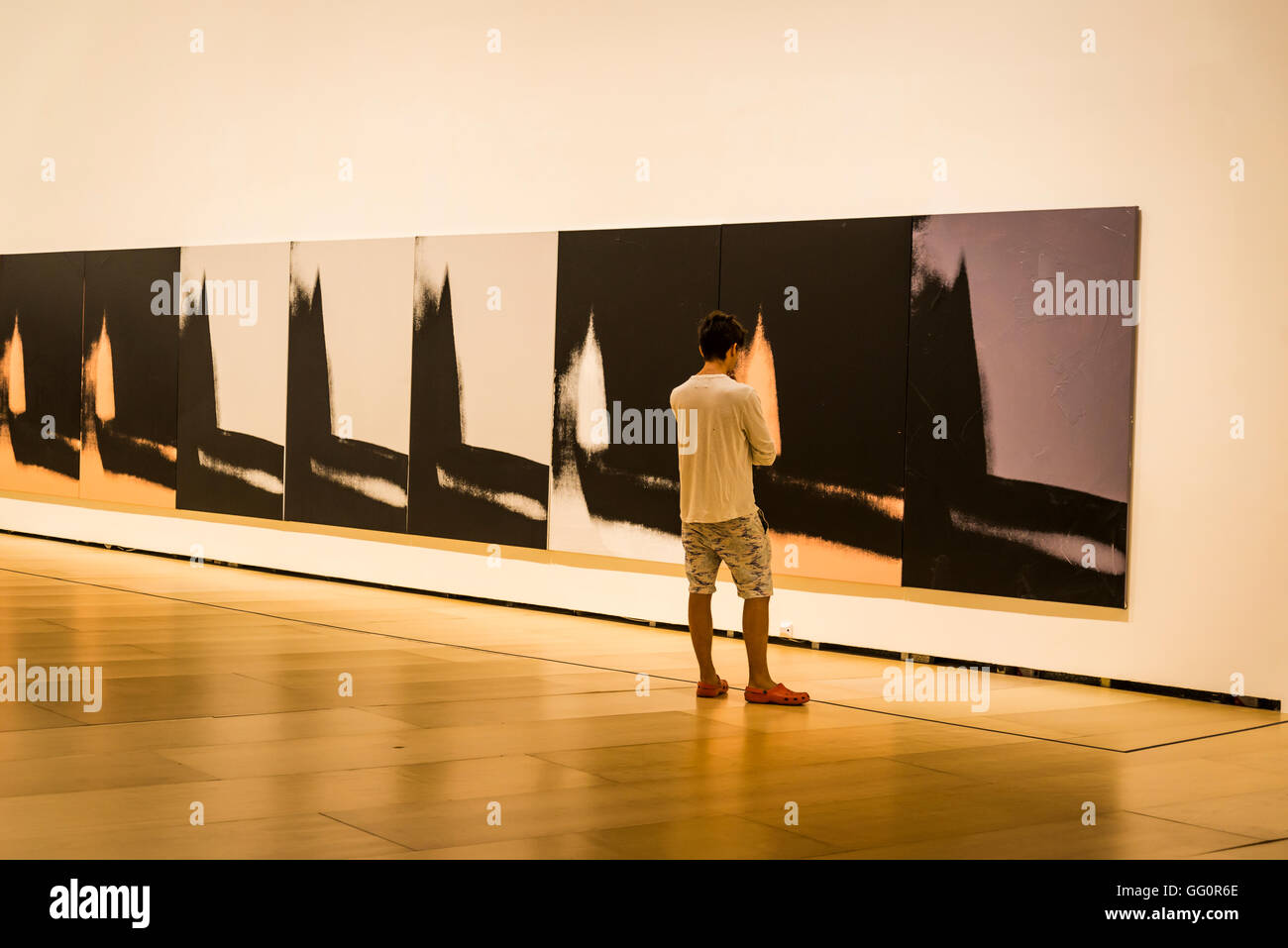Andy Warhol Ausstellung Schatten, 1978 / 79, Guggenheim Museum, Bilbao, Baskenland, Spanien Stockfoto