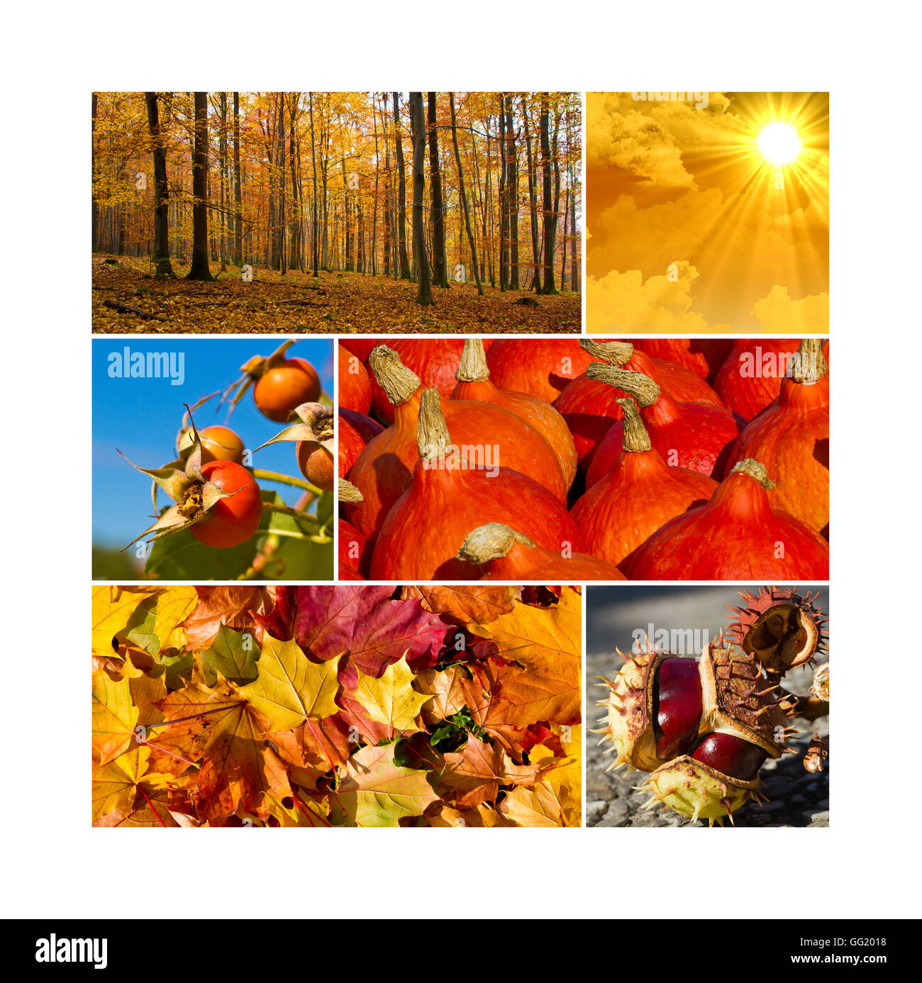 Herbst Foto-collage Stockfoto